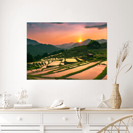 Plakat Wieczorny krajobraz z tarasów ryżowych