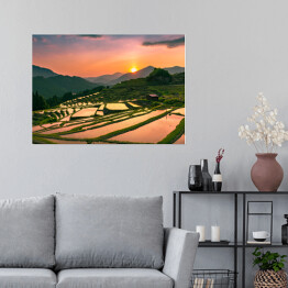 Plakat Wieczorny krajobraz z tarasów ryżowych