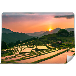Fototapeta winylowa zmywalna Wieczorny krajobraz z tarasów ryżowych