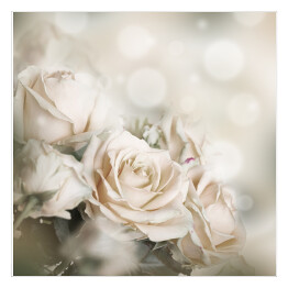 Plakat samoprzylepny Jasne piękne róże i motyl