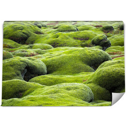 Fototapeta samoprzylepna Islandzki krajobraz porośnięty mchem