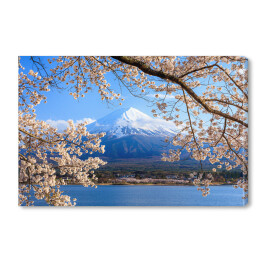 Obraz na płótnie Wdok na Fuji znad jeziora, Japonia