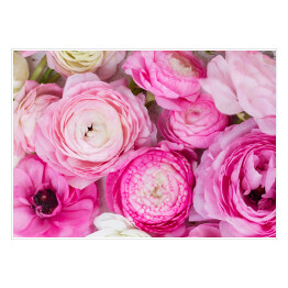 Róże w intensywnych różowych barwach