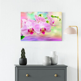 Obraz na płótnie Kwiat storczyka nad wodą