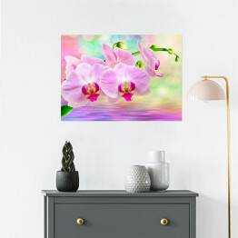 Plakat samoprzylepny Kwiat storczyka nad wodą