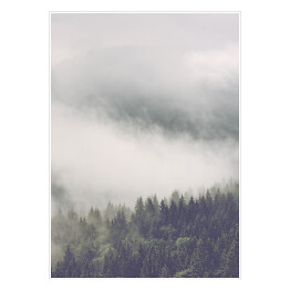 Plakat samoprzylepny Mglisty krajobraz lasu