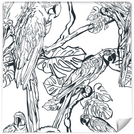 Tapeta w rolce Biało czarne papugi na gałęziach