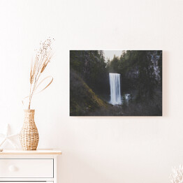Obraz na płótnie Wysoki wodospad w lesie