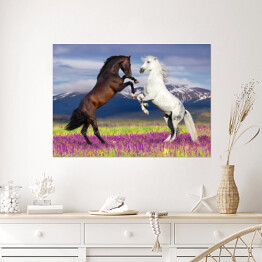 Plakat samoprzylepny Dwa konie na kwiecistym polu na tle gór