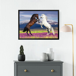 Obraz w ramie Dwa konie na kwiecistym polu na tle gór