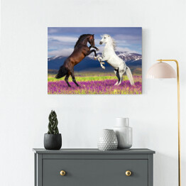 Obraz na płótnie Dwa konie na kwiecistym polu na tle gór