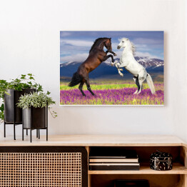 Obraz na płótnie Dwa konie na kwiecistym polu na tle gór