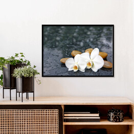 Plakat w ramie Dwa kwiaty orchidei i jasne kamienie