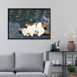 Plakat w ramie Dwa kwiaty orchidei i jasne kamienie