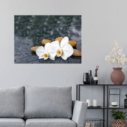 Plakat samoprzylepny Dwa kwiaty orchidei i jasne kamienie