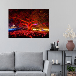 Plakat Drzewo rozświetlone czerwonymi światłami w nocy, Sydney, Australia