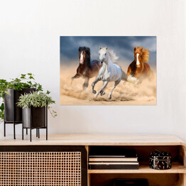 Plakat Trzy konie z długimi grzywami galopujące przez pustynię