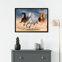 Obraz w ramie Trzy konie z długimi grzywami galopujące przez pustynię