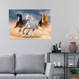 Plakat samoprzylepny Trzy konie z długimi grzywami galopujące przez pustynię