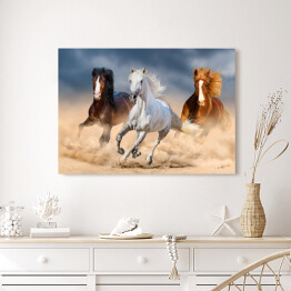 Obraz na płótnie Trzy konie z długimi grzywami galopujące przez pustynię