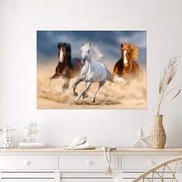 Plakat Trzy konie z długimi grzywami galopujące przez pustynię