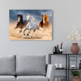 Obraz na płótnie Trzy konie z długimi grzywami galopujące przez pustynię