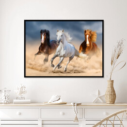 Plakat w ramie Trzy konie z długimi grzywami galopujące przez pustynię