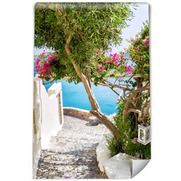 Fototapeta Santorini - piękny krajobraz 