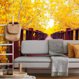 Fototapeta winylowa zmywalna Jesienny las i drewniany most