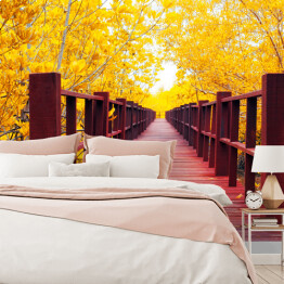 Fototapeta winylowa zmywalna Jesienny las i drewniany most