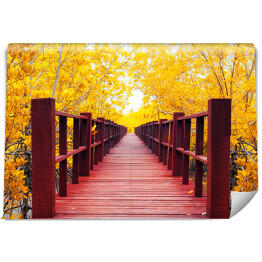 Fototapeta Jesienny las i drewniany most