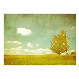 Plakat Ilustracja - samotne drzewo na łące