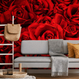 Dywan z pięknych czerwonych róż