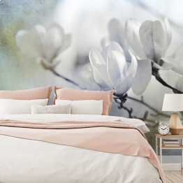 Fototapeta winylowa zmywalna Motyw magnolii