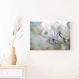 Obraz na płótnie Motyw magnolii
