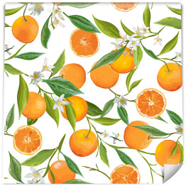 Tapeta w rolce Owoce pomarańczy na białym tle