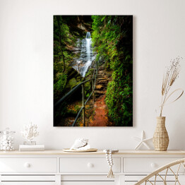 Obraz na płótnie Wodospady w Blue Mountains National Park