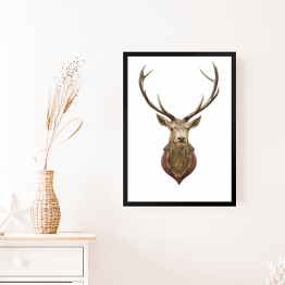 Obraz w ramie Wypchana głowa jelenia - ilustracja na białym tle