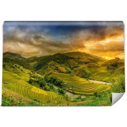 Fototapeta winylowa zmywalna Pola ryżowe, Wietnam