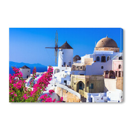 Obraz na płótnie Wiatraki i roślinność na Santorini - Grecja