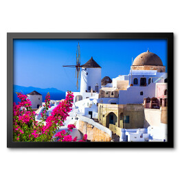 Obraz w ramie Wiatraki i roślinność na Santorini - Grecja
