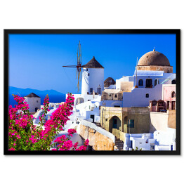 Plakat w ramie Wiatraki i roślinność na Santorini - Grecja