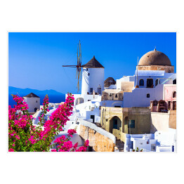 Plakat samoprzylepny Wiatraki i roślinność na Santorini - Grecja