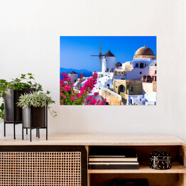 Plakat Wiatraki i roślinność na Santorini - Grecja