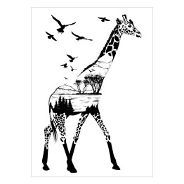 Plakat Duża czarno biała żyrafa 