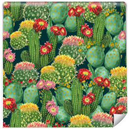 Tapeta winylowa zmywalna w rolce Wzór z kwitnącymi na kolorowo kaktusami