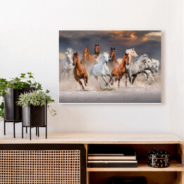Obraz na płótnie Stado koni galopujących w pustynnym kurzu podczas zachódu słońca
