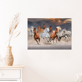 Plakat Stado koni galopujących w pustynnym kurzu podczas zachódu słońca