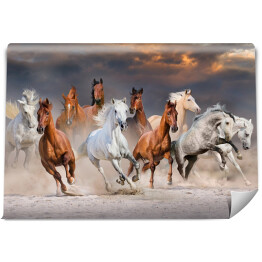Stado koni galopujących w pustynnym kurzu podczas zachódu słońca