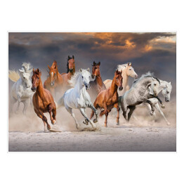 Plakat samoprzylepny Stado koni galopujących w pustynnym kurzu podczas zachódu słońca